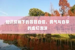 知识贫瘠下的盲目自信，勇气与自豪的虚幻泡沫