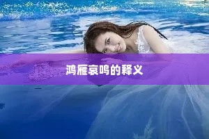 鸿雁哀鸣的释义