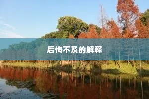 后悔不及的解释