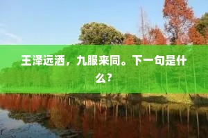 鸟迹虫丝的解释