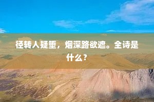 也何须、晴如那日，欣然且过江去。的解释