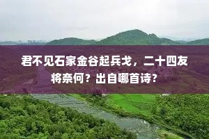 芳草凄迷归路远，子规更叫黄昏月。上一句是什么？