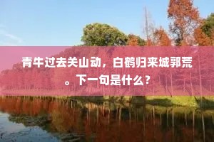 杓携鹑首坤维外，岁在降娄虎坎中。的释义