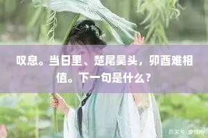 冀国遗踪，杜陵陈迹，疑信俱休说。出自哪首诗？
