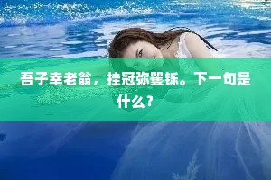 望海日翻红，林霏散白，猿鸟幽深。的意思及出处