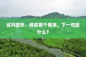 且向露桃花底，拼沉醉，频举觥舡。下一句是什么？