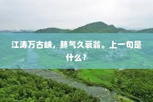 年时今日，御双凫曾到、蓬壶方丈。的释义