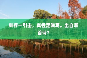 只因贪伴开炉酒，恼得红儿一夜讴。下一句是什么？