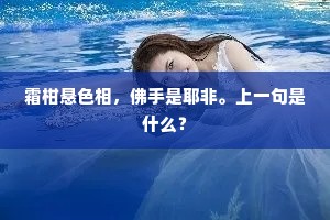 万事全将飞雪看，一间且问苍天借。的意思及出处