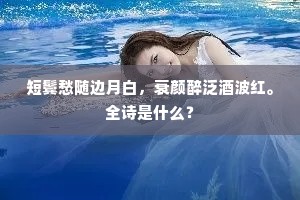 残砖断础，才转眼、化作方圭圆璧。上一句是什么？