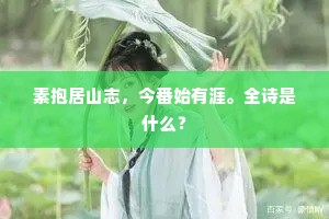 把一白、分与梅花，要点寿阳妆额。下一句是什么？