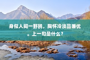 忘却天涯漂泊地，尊前不放闲愁入。的意思及出处