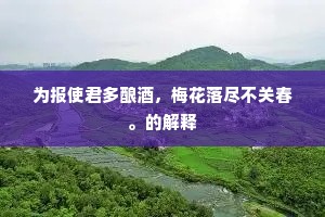 弄月吟风的释义