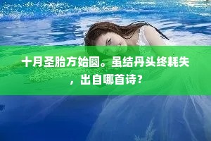 弄竹弹丝的释义