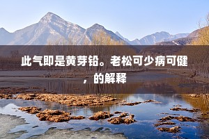 驽马铅刀的解释
