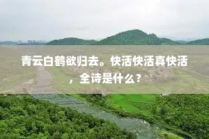 有母能贤，生儿如此，总是前身佛。出自哪首诗？