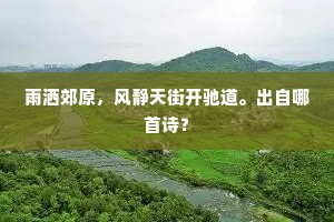 晓披阊阖见朝阳，知向碧阶添几线。的意思及出处