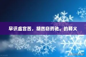 万事全将飞雪看，一间且问苍天借。的意思及出处