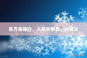 雨乍收，小院尘消，云淡天高露冷。的释义