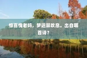 学士文章舒锦绣，夫人冠帔烂云霞。的释义