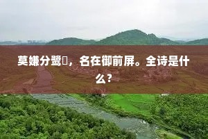 疏疏密密，漠漠纷纷，乍舞风无力。上一句是什么？