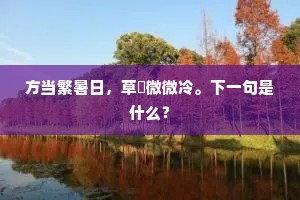 炉里温温种子，玄珠象、气透三宫。的意思及出处