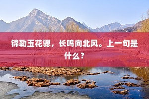 浓荫蔽日的释义
