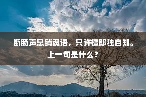 我已逍遥物外，人冤道、别有思量。出自哪首诗？