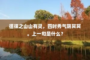 向玉笋光中，瑶林宴里，来拥双旌。的解释