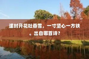 任落梅铺缀，雁齿斜桥，裙腰芳草。全诗是什么？