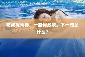 杷罗剔抉的解释