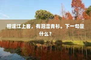 亭前落叶又西风，断送离怀无著处。的解释
