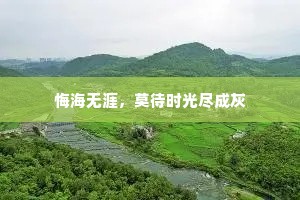 悔海无涯，莫待时光尽成灰