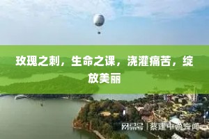金字半开香穗小，愁不寐，恨西蟾。的意思及出处