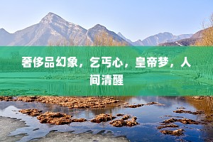 皮相之见的释义