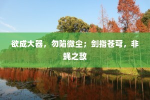 欲成大器，勿陷微尘；剑指苍穹，非蝇之敌