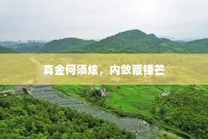 真金何须炫，内敛藏锋芒