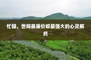 琵琶胡语的释义