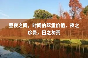 昼夜之间，时间的双重价值，夜之珍贵，日之勿荒