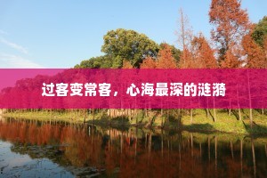过客变常客，心海最深的涟漪