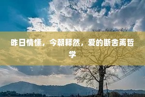昨日情愫，今朝释然，爱的断舍离哲学
