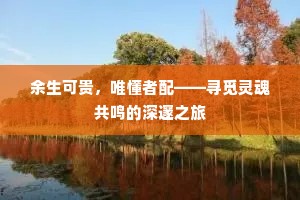 某姓张，名守珪，见任幽州节度使。的解释