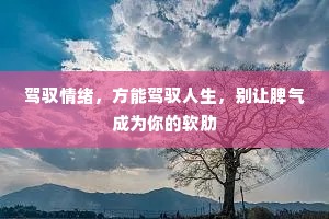 都来一段，红幢翠盖，香尽满城风。的意思及出处
