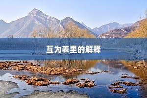 片言一字的成语解释