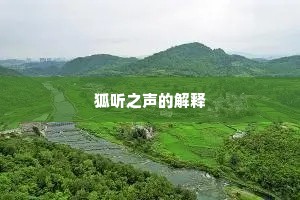 狐听之声的解释