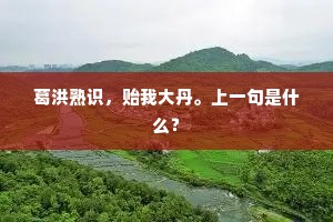 漂蓬断梗的解释