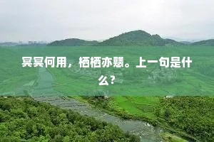 鬓云懒理松金凤，胭粉慷施减玉容。出自哪首诗？
