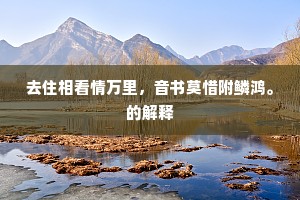 飘洋过海的成语解释
