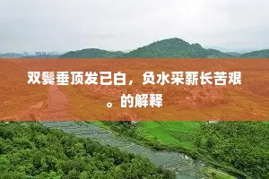 贫病交加的成语解释