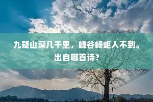 爱钱娘不问高低，有情人岂辨虚实。出自哪首诗？